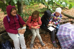 20150903134202 20150903134202