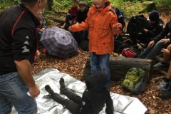 20150903135035 20150903135035